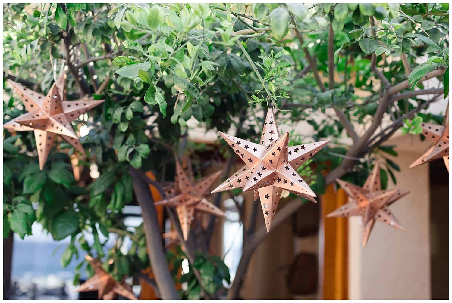 Cabo_Wedding_Photographer_Sara_Richardson